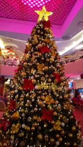 WhatsApp Image 2024-12-23 at 13.04.12 (1)